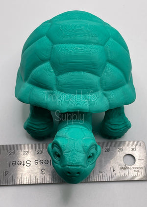 Tortoise large