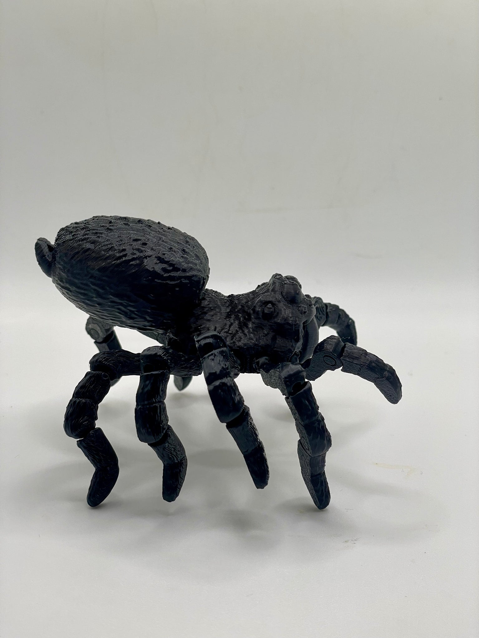 Tarantula small