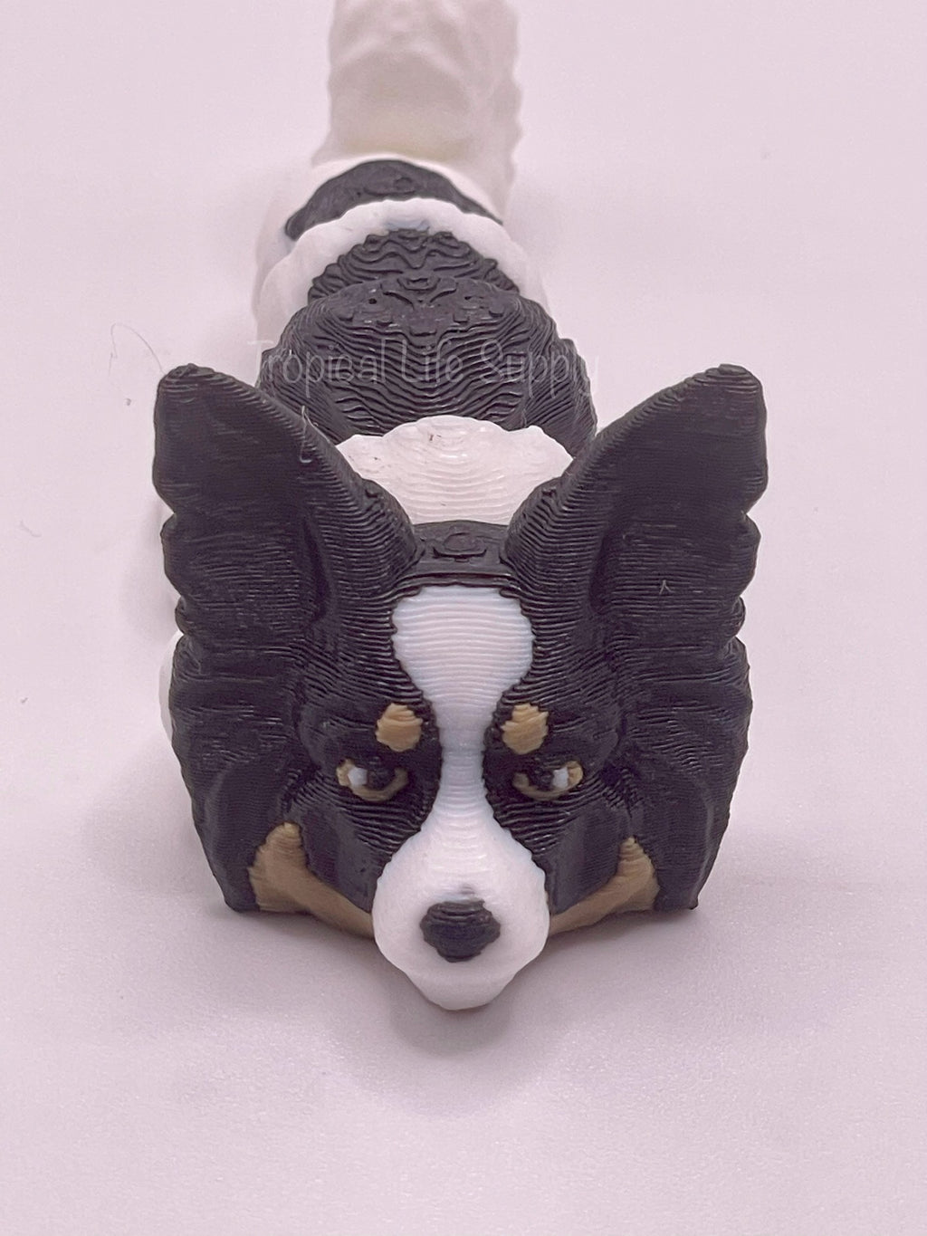 Papillon keychain