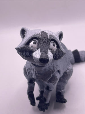 Raccoon