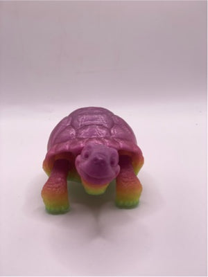 Medium Tortoise