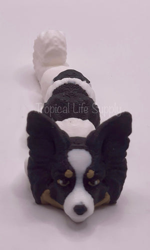 Papillon keychain