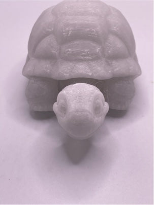 Mini Tortoise