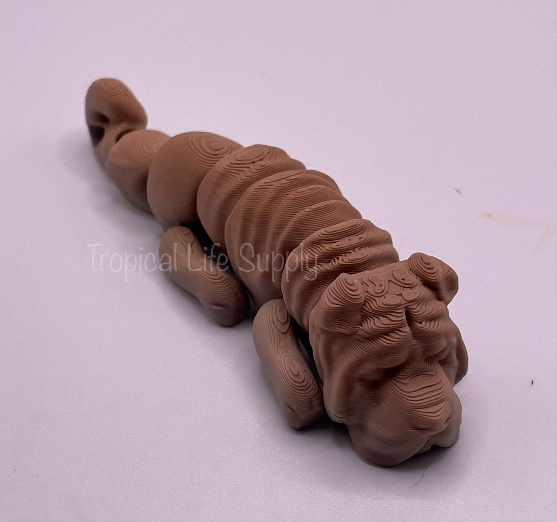 Shar Pei