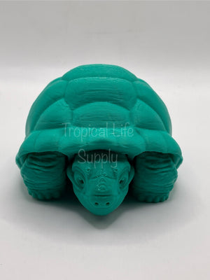 Tortoise large