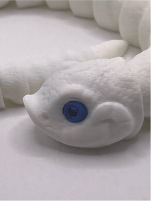 Large Blue Eyed Leusistic Ball Python