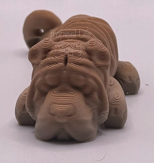 Shar Pei